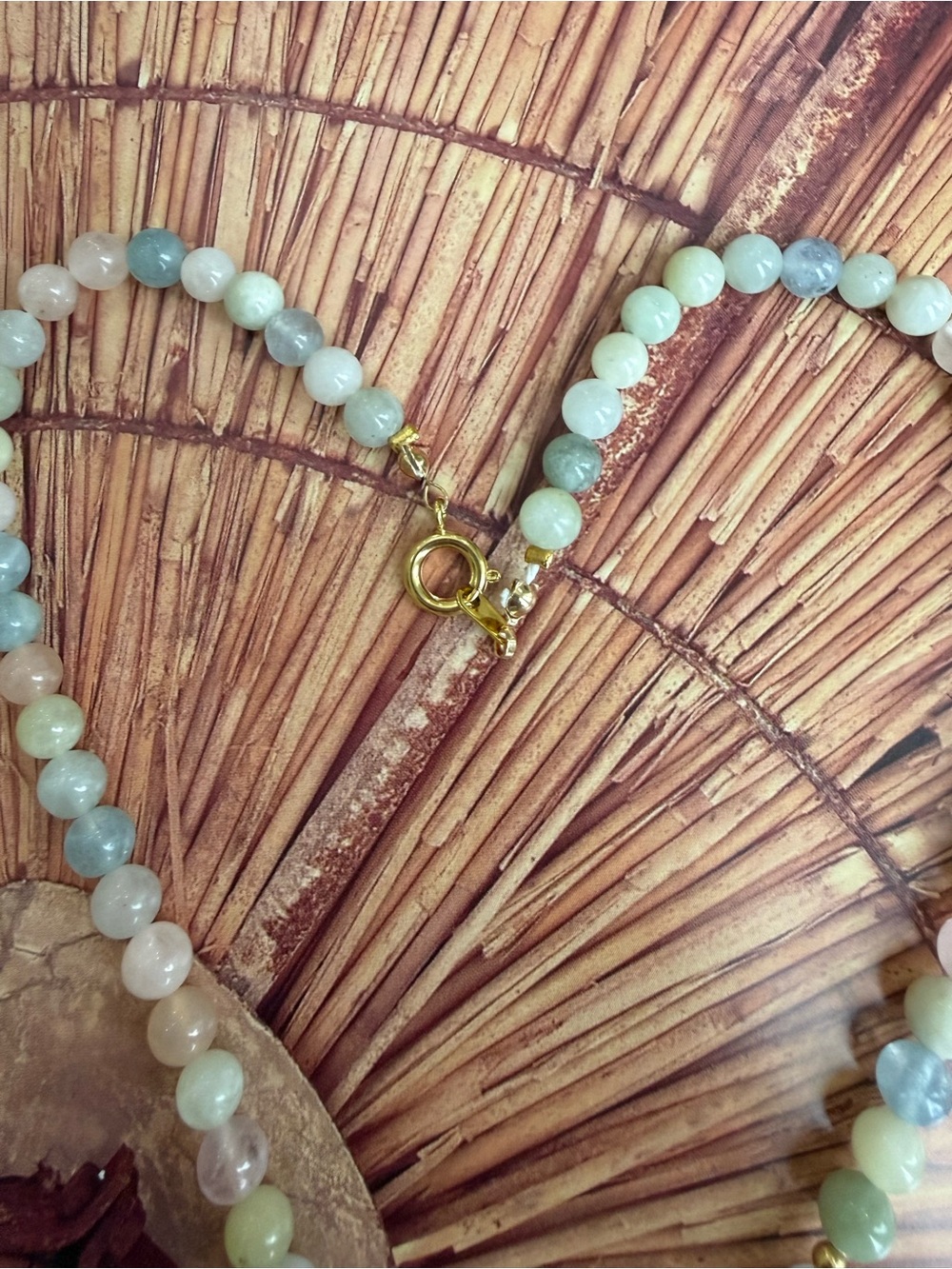 Shell Necklace - Picture 4 of 4